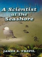 Scientist at the Seashore