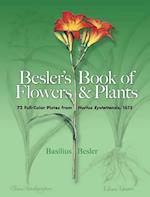 Besler's Book of Flowers and Plants
