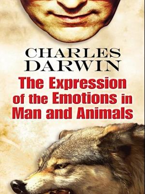 Expression of the Emotions in Man and Animals