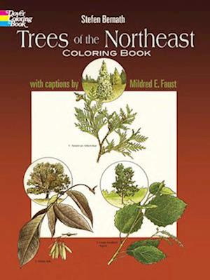 Trees of the Northeast Coloring Book