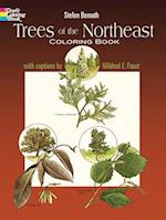 Trees of the Northeast Coloring Book