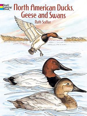 North American Ducks, Geese and Swans