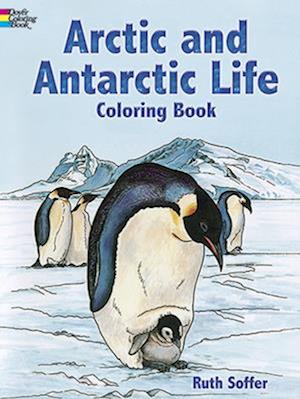 Arctic and Antarctic Life Coloring Book