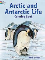 Arctic and Antarctic Life Coloring Book