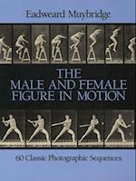 Male and Female Figure in Motion