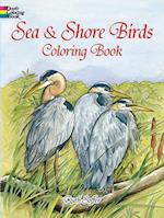 Sea Shore Birds