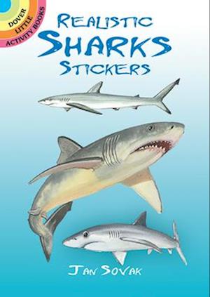 Realistic Sharks Stickers