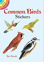 Common Birds Stickers