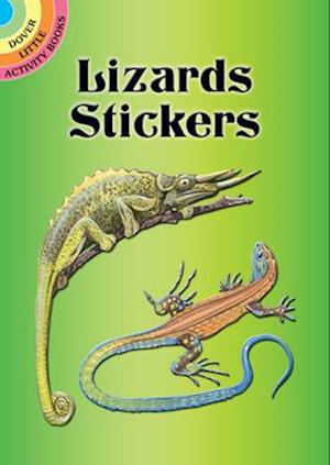 Lizards Stickers