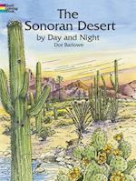 Sonoran Desert by Day and Night
