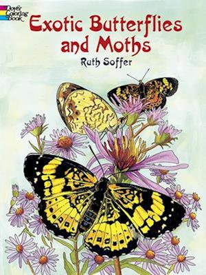 Exotic Butterflies and Moths CB