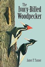 The Ivory-Billed Woodpecker