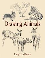 Drawing Animals