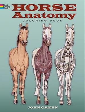 Horse Anatomy Coloring Book