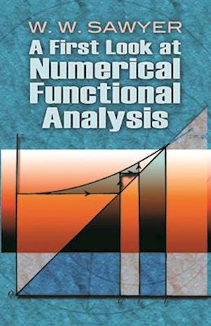 A First Look at Numerical Functional Analysis