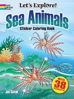 Let's Explore! Sea Animals