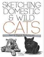 Sketching Domestic and Wild Cats