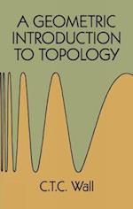 A Geometric Introduction to Topology