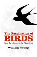Fascination of Birds