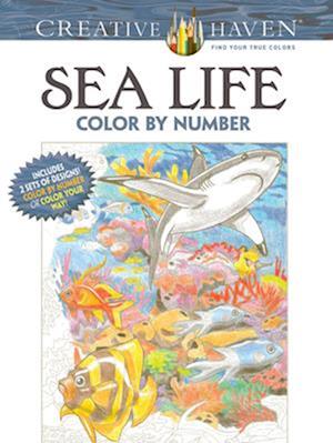 Creative Haven Sea Life Color by Number Coloring Book