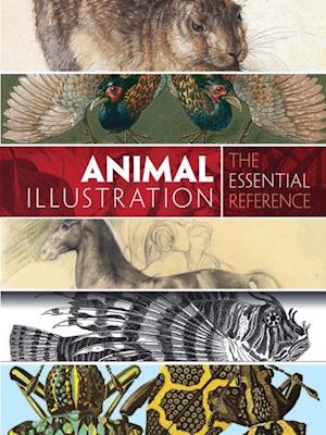 Animal Illustration: The Essential Reference