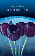 Black Tulip