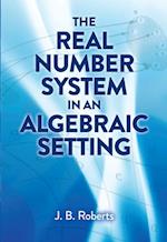 Real Number System in an Algebraic Setting