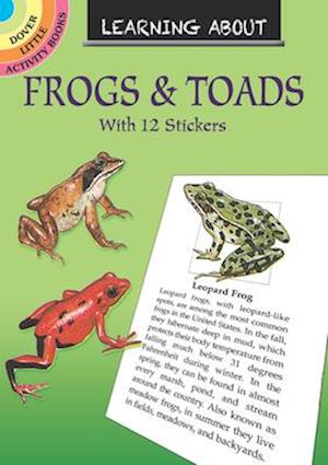 Learning About Frogs and Toads