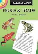 Learning About Frogs and Toads