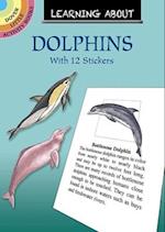 Learning about Dolphins