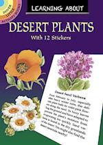 Learning About Desert Plants
