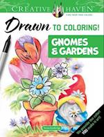 Creative Haven Drawn to Coloring