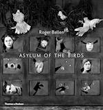 Asylum of the Birds