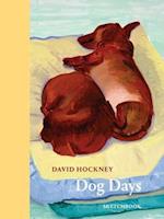 David Hockney Dog Days