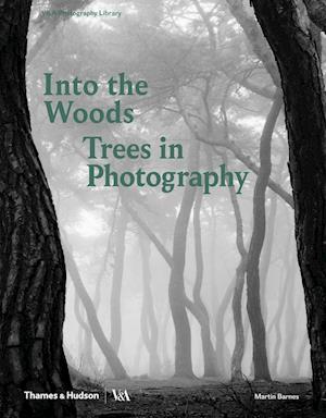 Into the Woods: Trees in Photography