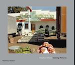 Stephen Shore: Solving Pictures