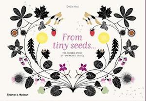 From Tiny Seeds