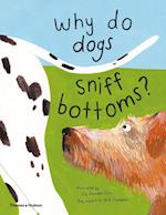 Why do dogs sniff bottoms?