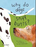 Why Do Dogs Sniff Butts?