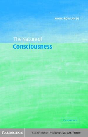 Nature of Consciousness