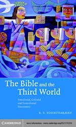 Bible and the Third World