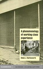 Phenomenology of Working-Class Experience