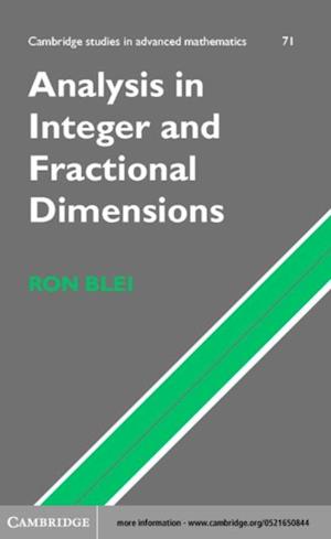 Analysis in Integer and Fractional Dimensions