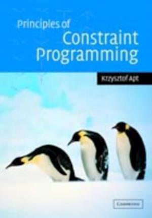 Principles of Constraint Programming