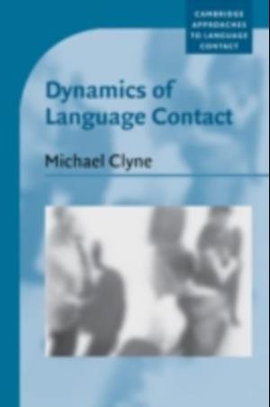 Dynamics of Language Contact