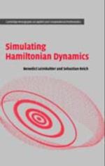 Simulating Hamiltonian Dynamics