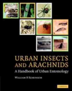 Urban Insects and Arachnids