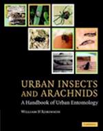 Urban Insects and Arachnids