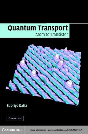 Quantum Transport