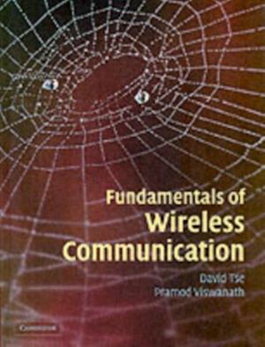 Fundamentals of Wireless Communication